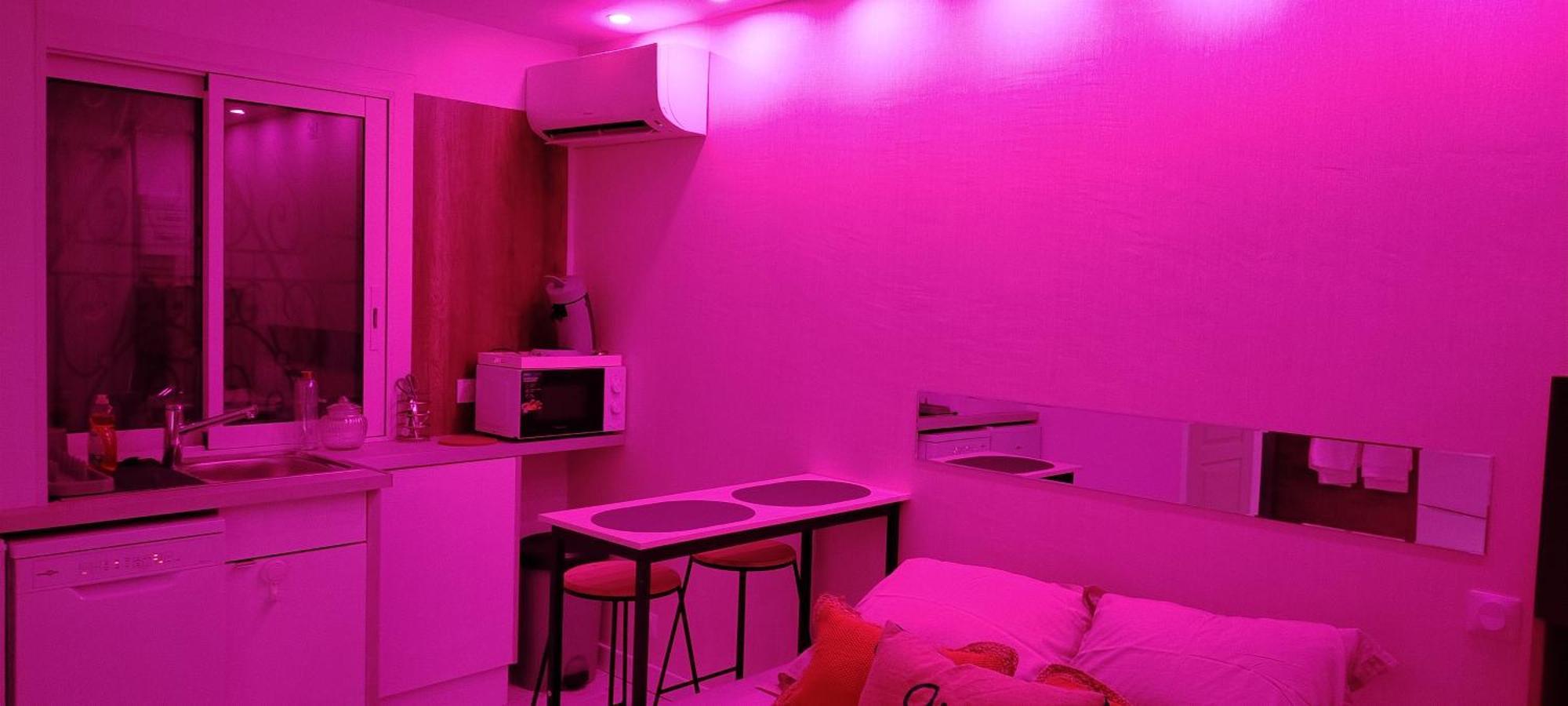 Studio Cosy Balneo Avec Jardin Ле Баркарес Экстерьер фото